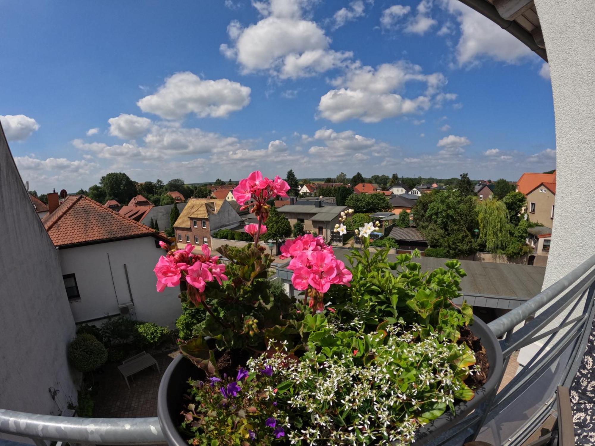Ferienwohnung Ausblick Bad Düben Kültér fotó